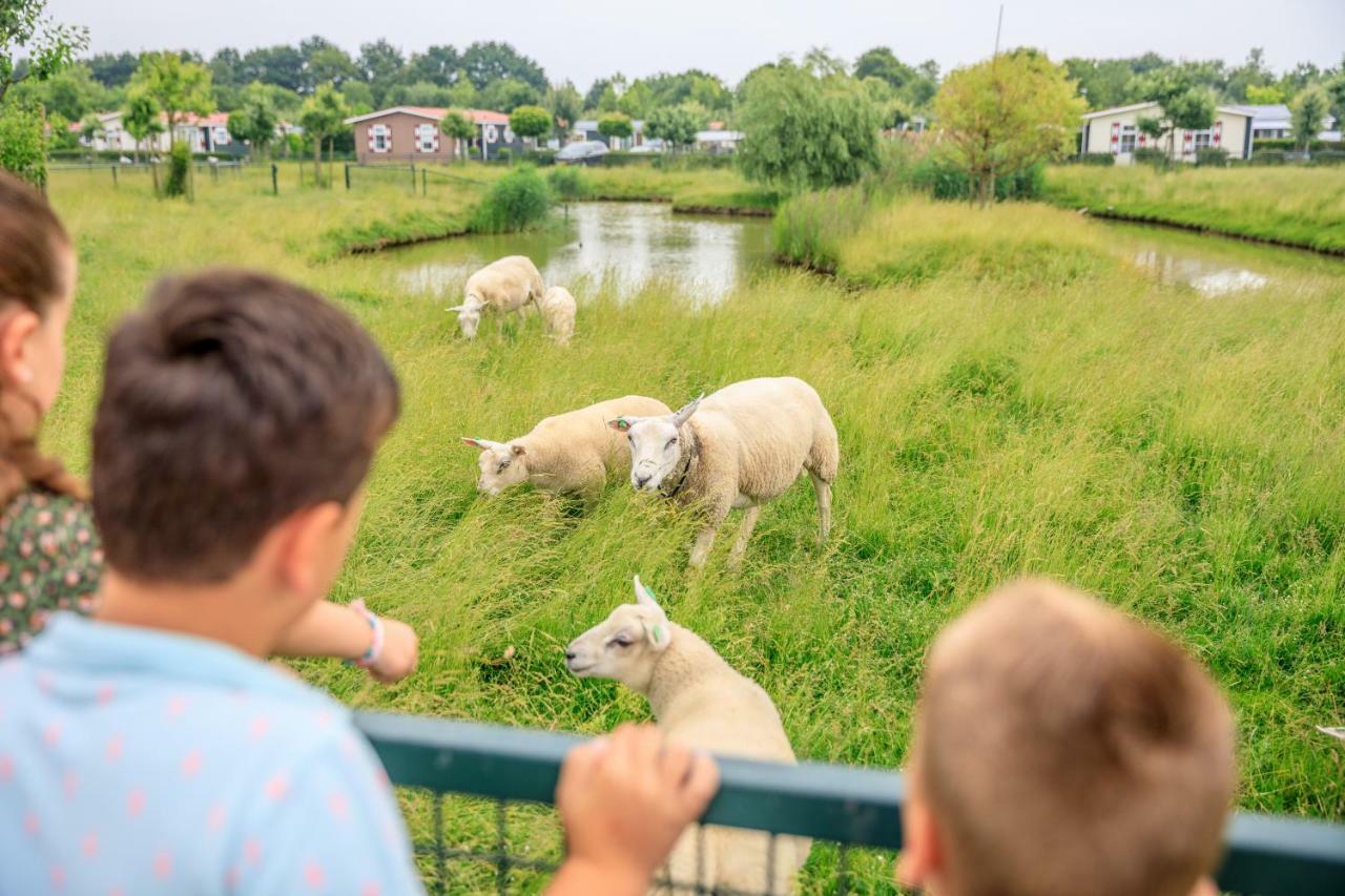 ホテル キャンピング スケルデオード Baarland エクステリア 写真